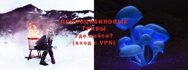 ешки Липки