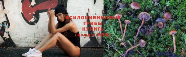 герыч Тында